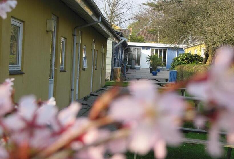 Danhostel Sønderborg Vollerup