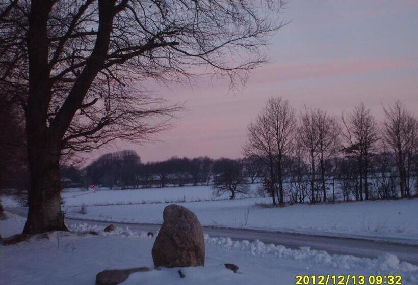 Herning Bed & Breakfast