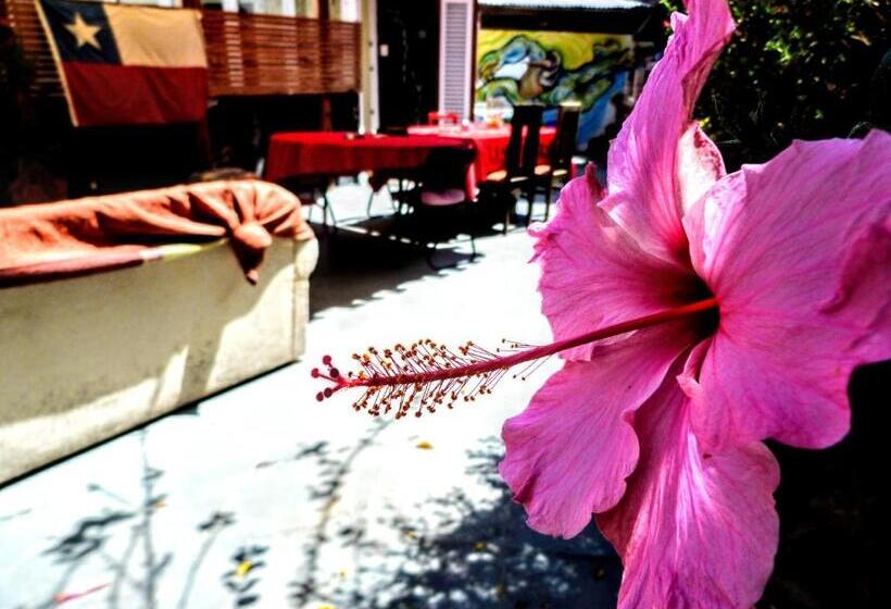 مسافرخانه La Casa Piola