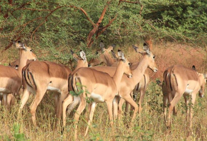 هتل A La Ficelle Du Lac Rose