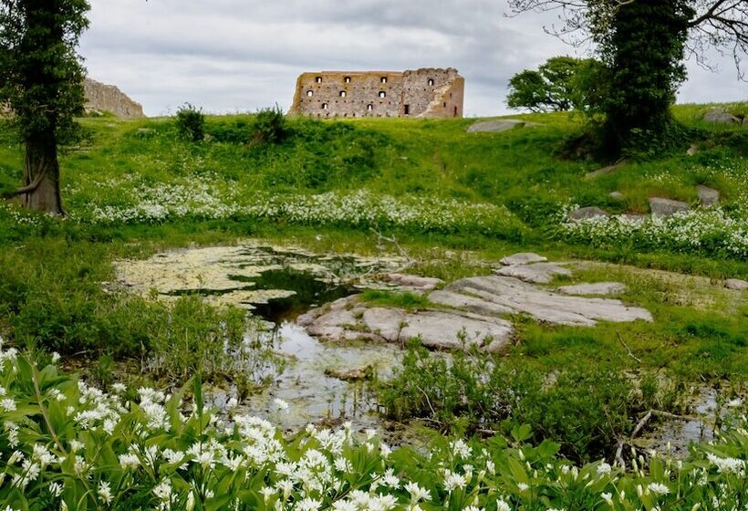 בית מלון כפרי Allinge