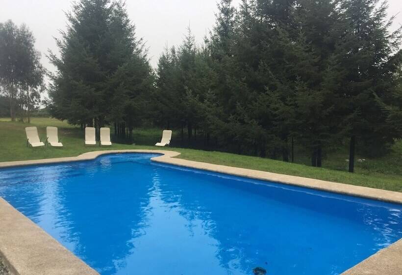 호텔 Alto Puerto Varas