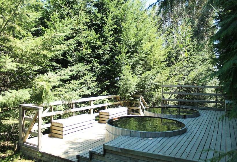 호텔 Alto Puerto Varas