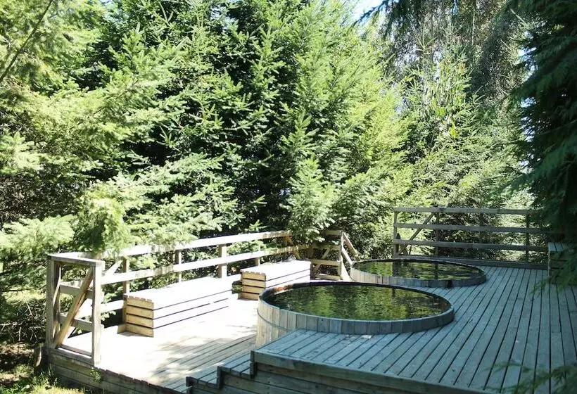 Hotelli Alto Puerto Varas