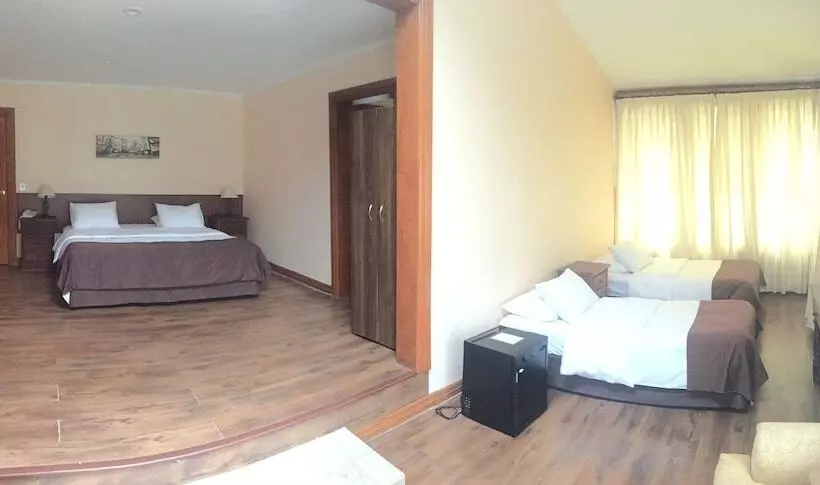 Hotelli Alto Puerto Varas