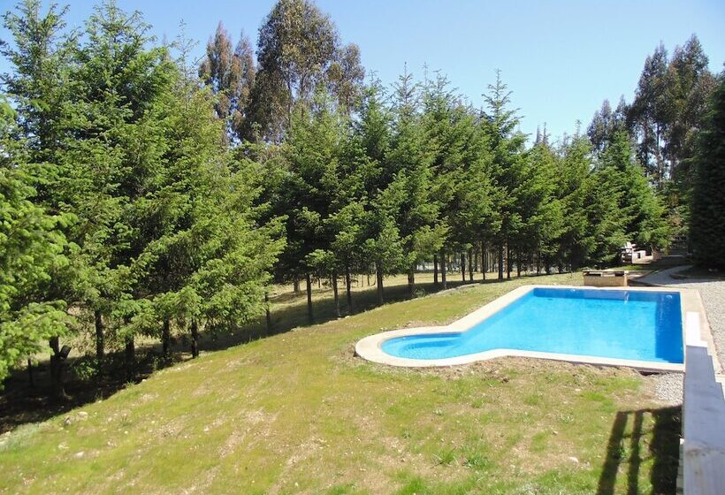 호텔 Alto Puerto Varas