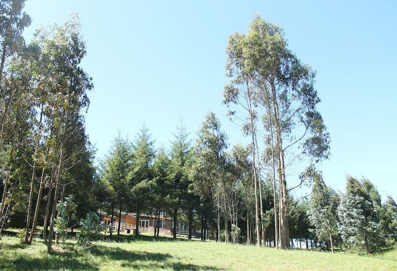 호텔 Alto Puerto Varas