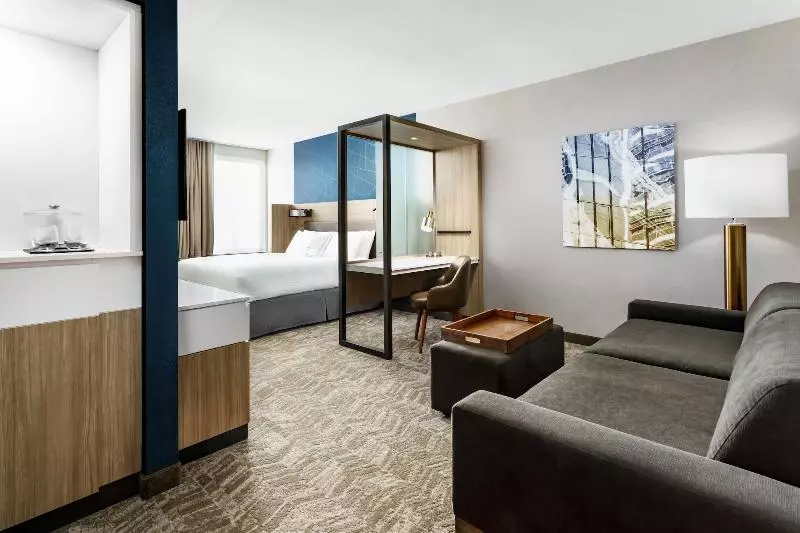 ホテル Springhill Suites By Marriott Belmont Redwood Shores