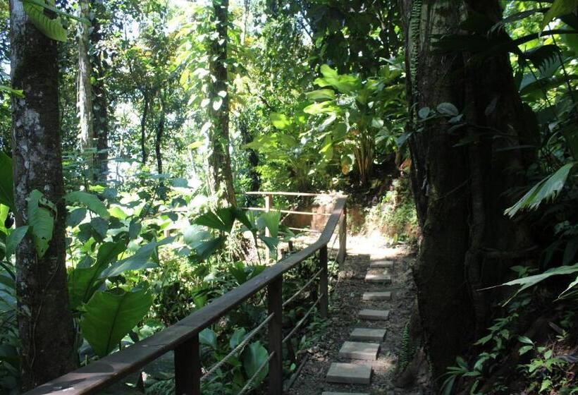 Red Frog Beach Island Resort