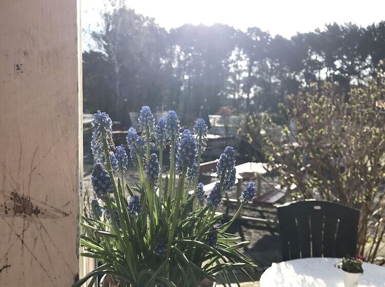 Rønne Vandrerhjem Hostel