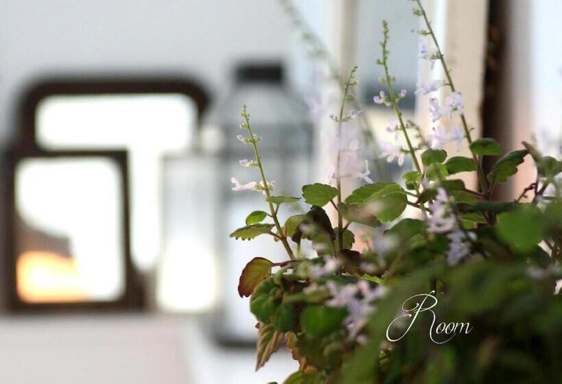 Bed and Breakfast Dragondrum Bed & Kitchen