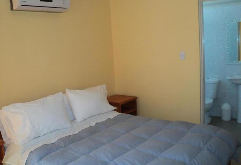 فندق Alto Seminario