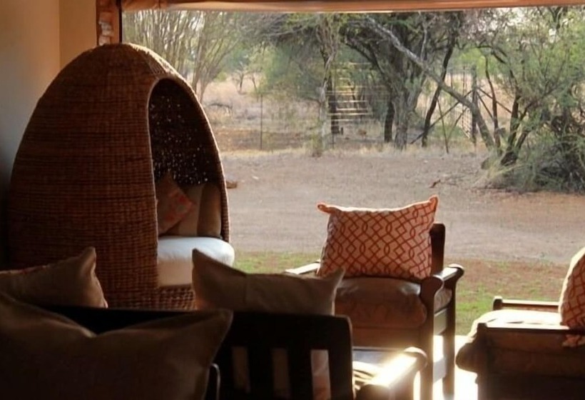 Отель Foreva Wild