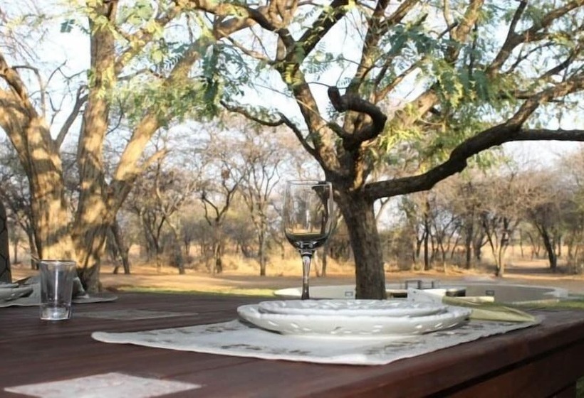 Отель Foreva Wild