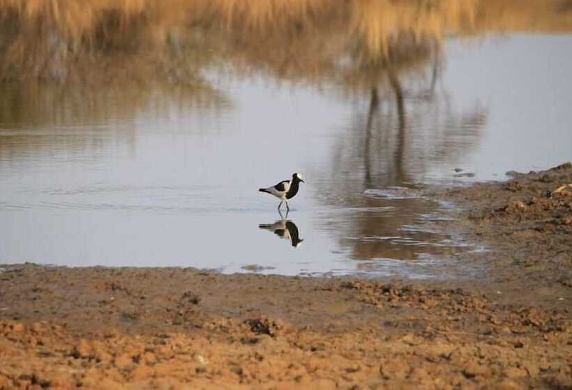 Отель Foreva Wild