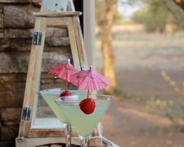 Отель Foreva Wild