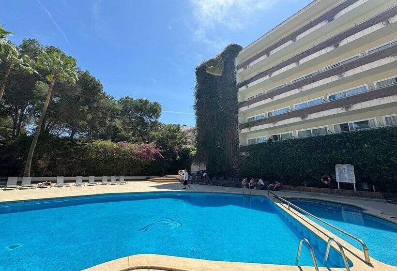 فندق Ipanema Park