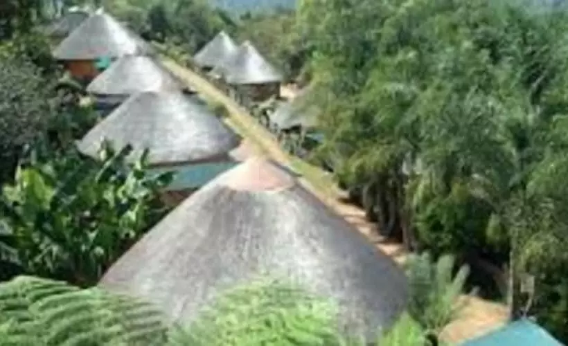 ホテル Magoebaskloof Mountain Lodge