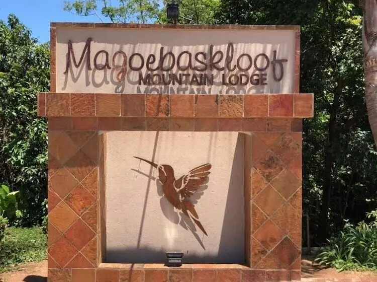 ホテル Magoebaskloof Mountain Lodge