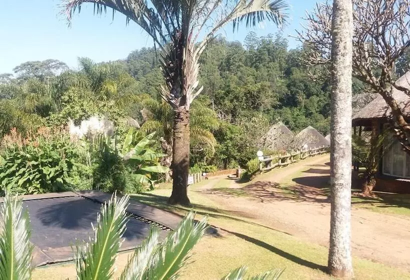 ホテル Magoebaskloof Mountain Lodge