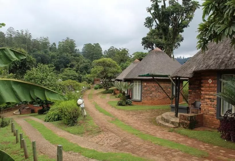 ホテル Magoebaskloof Mountain Lodge