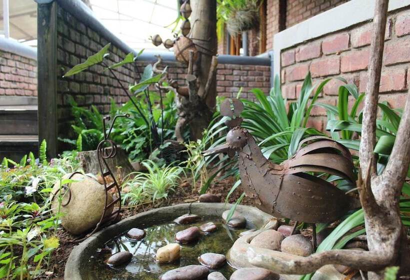 Hotel Magoebaskloof Mountain Lodge