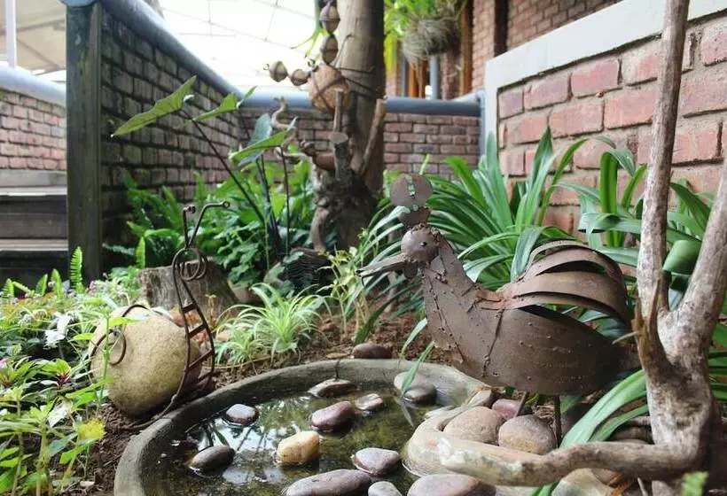 ホテル Magoebaskloof Mountain Lodge