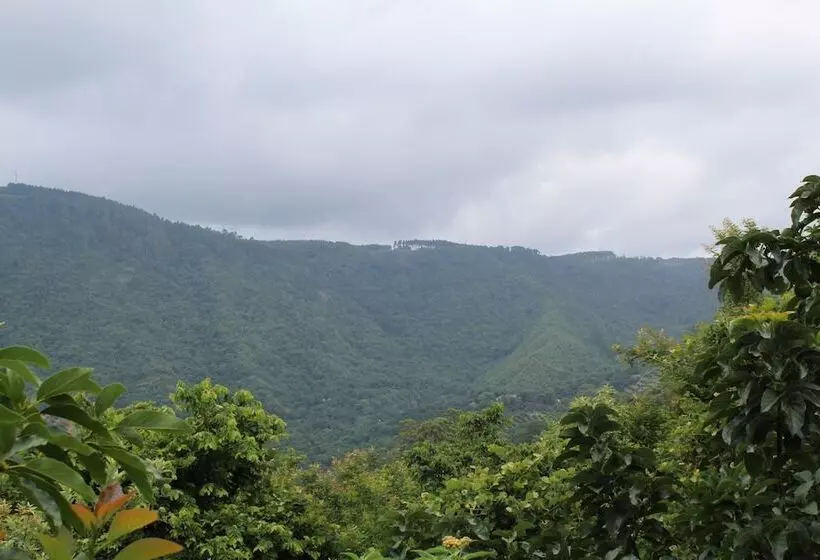 ホテル Magoebaskloof Mountain Lodge