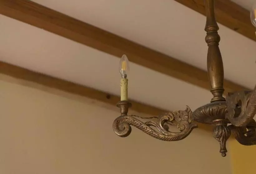 هتل Quinta Das Hortênsias