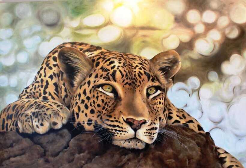 호텔 The Belgium Inn