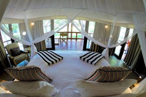 هتل Tuli Safari Lodge Mashatu