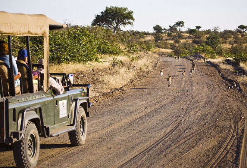 هتل Tuli Safari Lodge Mashatu