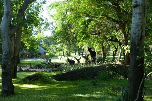 هتل Tuli Safari Lodge Mashatu