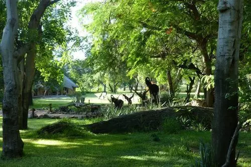 هتل Tuli Safari Lodge Mashatu
