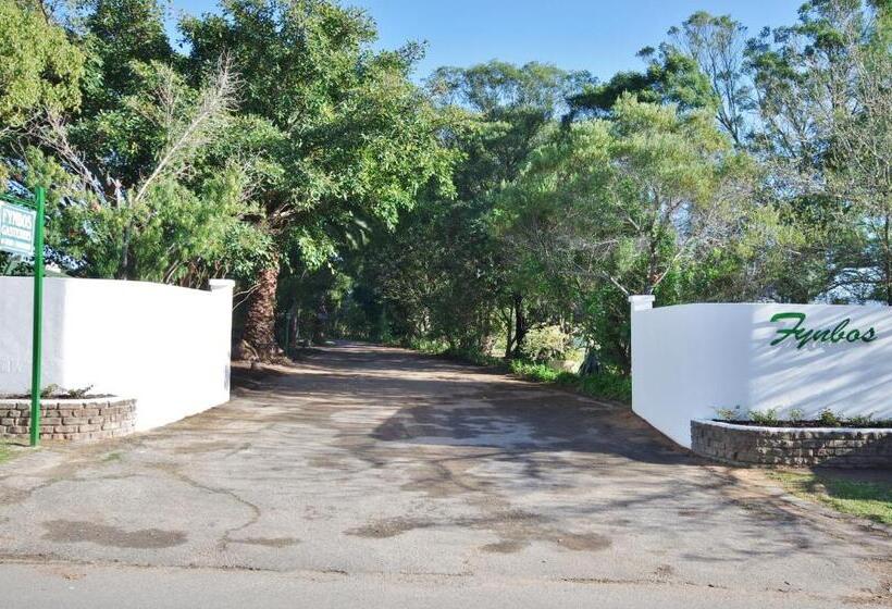 بنسيون Fynbos Guest House Riversdale