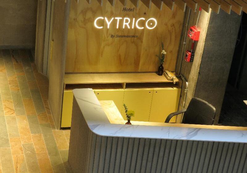 호텔 Cytrico