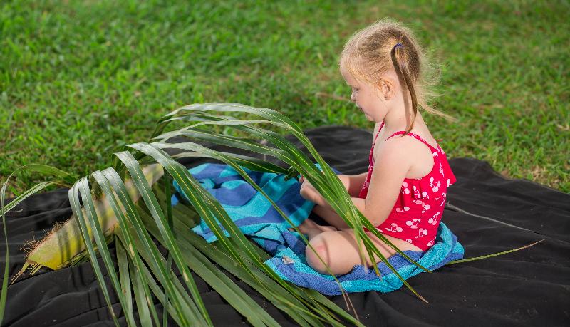 The Crow S Nest Resort