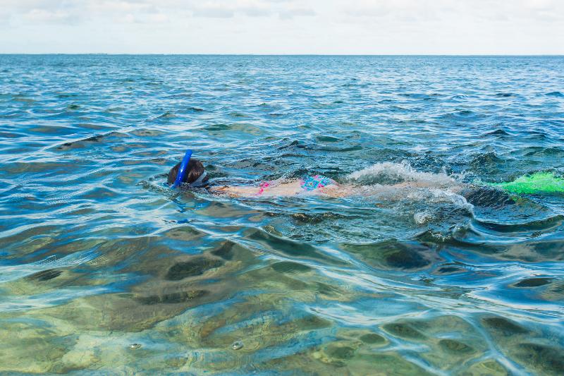 The Crow S Nest Resort