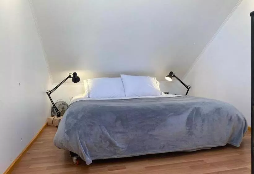 French Andes Apart Hostel