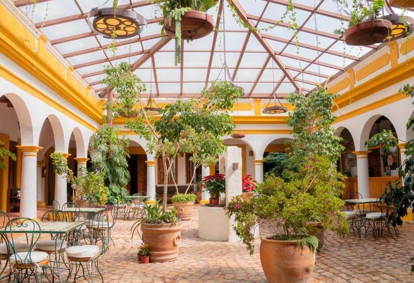 Fotos del hotel Casa Margarita:  15