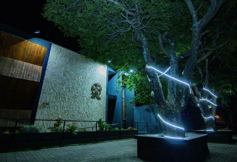 هتل Cumbres Del Sur