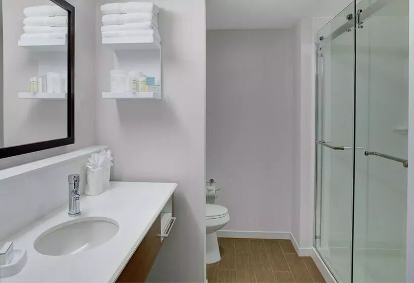ホテル Hampton Inn And Suites Manchester
