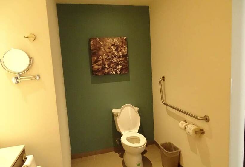 هتل Hampton Inn Celaya Mexico