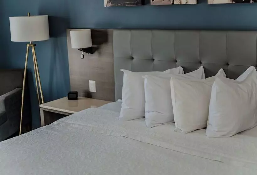 Hotelli Hampton Inn Celaya Mexico