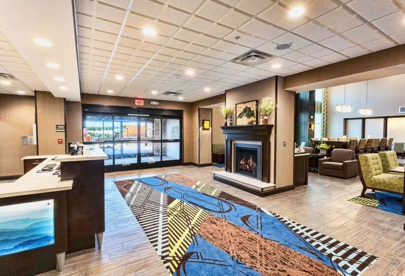 هتل Hampton Inn & Suites Duluth North / Mall Area