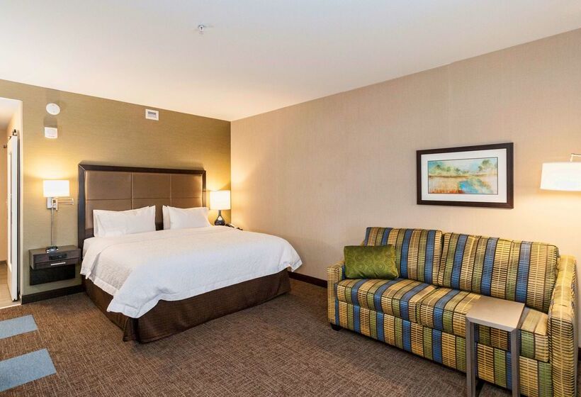 فندق Hampton Inn & Suites Duluth North / Mall Area