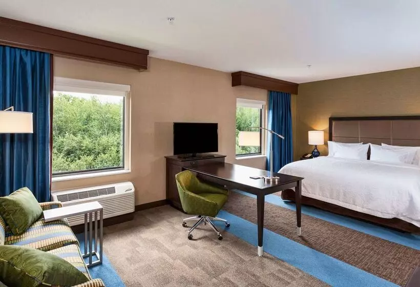 هتل Hampton Inn & Suites Duluth North / Mall Area