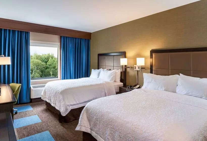 هتل Hampton Inn & Suites Duluth North / Mall Area