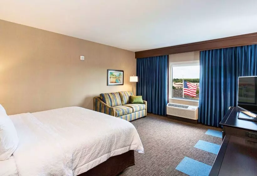 هتل Hampton Inn & Suites Duluth North / Mall Area