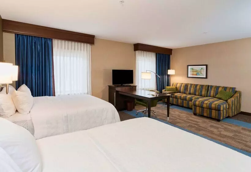 هتل Hampton Inn & Suites Duluth North / Mall Area
